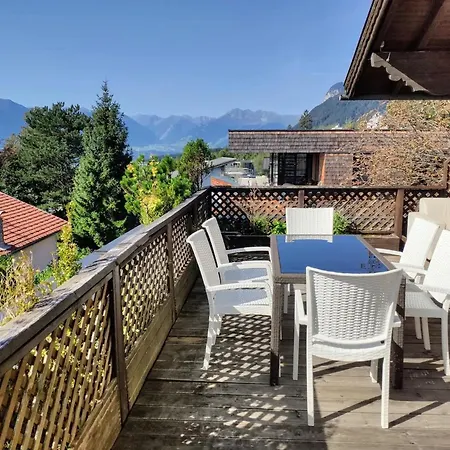 Alpendohle * Innsbruck