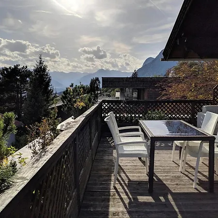 Alpendohle Innsbruck