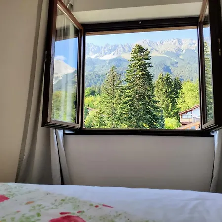 Alpendohle Innsbruck