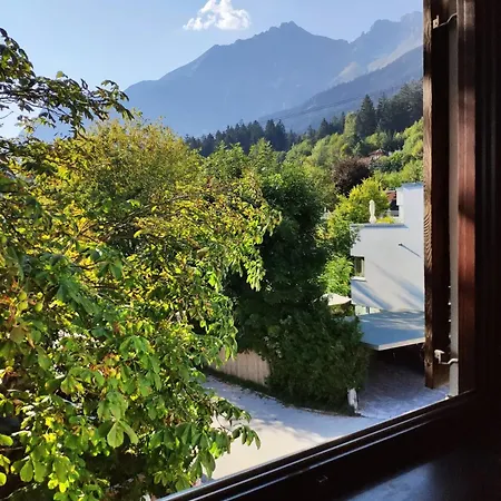 Alpendohle *