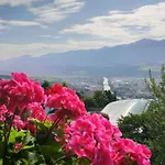 Alpendohle アパート インスブルック