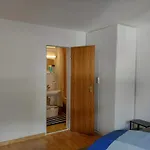 Alpendohle Innsbruck