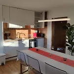 Alpendohle Innsbruck