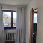 Alpendohle * インスブルック