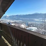 Alpendohle 인스브루크