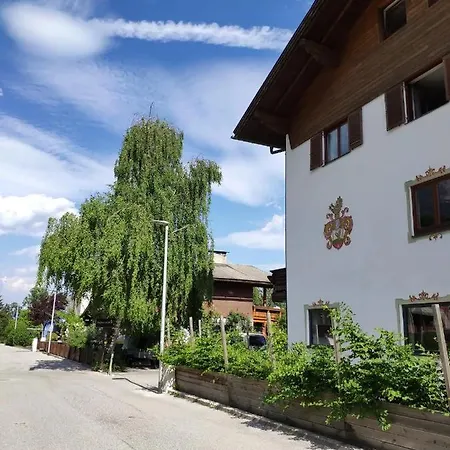 Alpendohle * Innsbruck