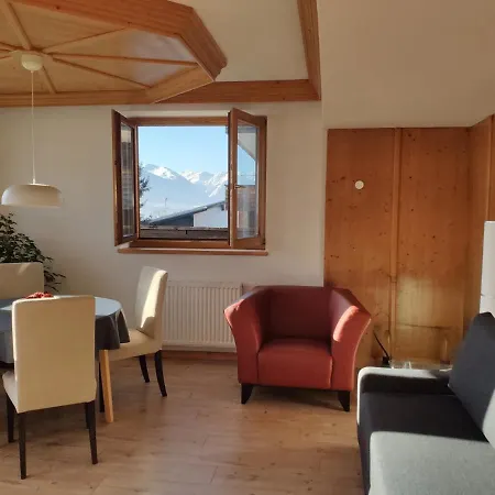 Alpendohle İnnsbruck