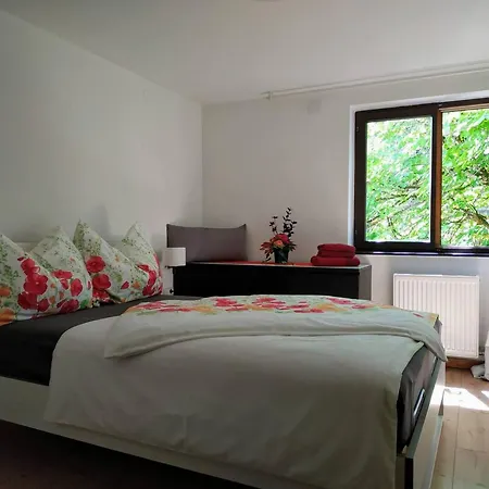 Alpendohle Appartement *