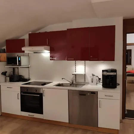 Alpendohle * İnnsbruck