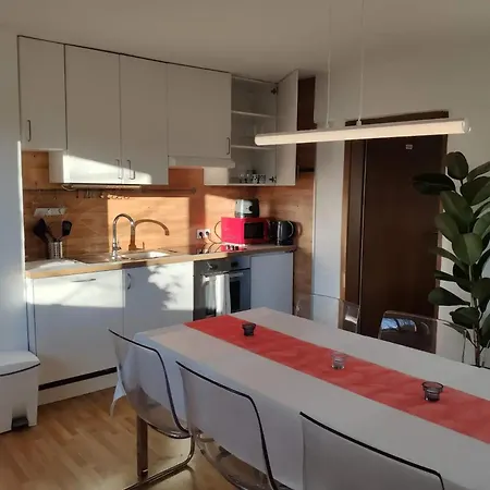 Alpendohle Ίνσμπρουκ