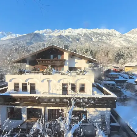 Alpendohle * 인스브루크