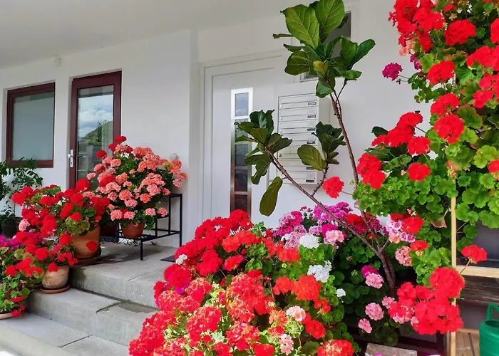 Alpendohle Appartement