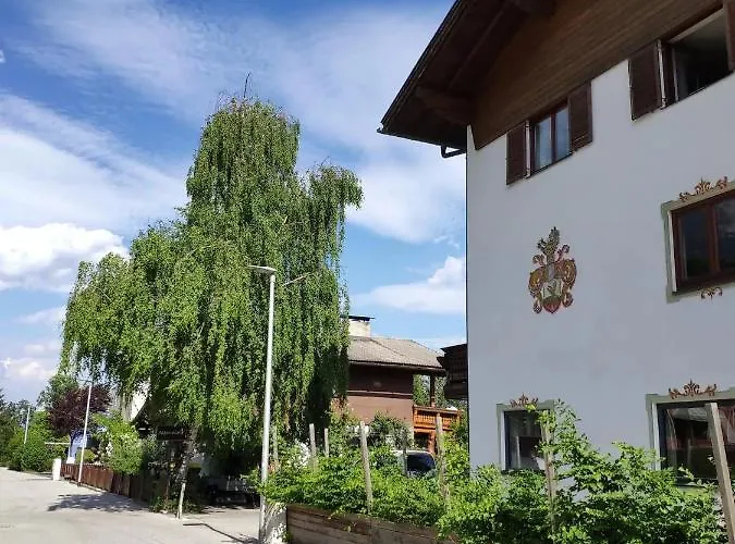 Alpendohle * Innsbruck