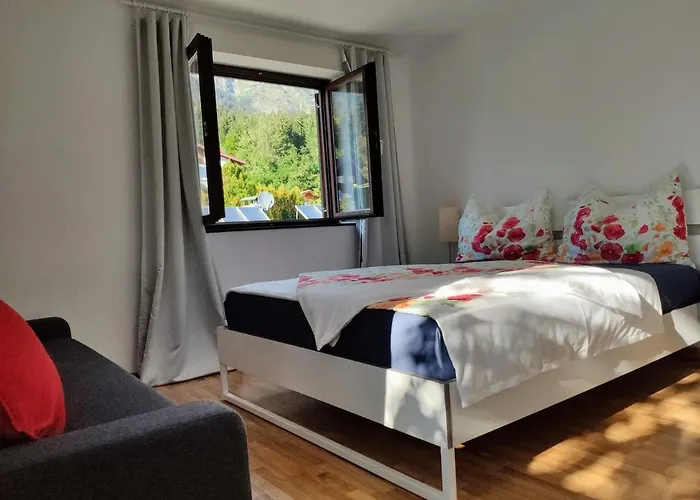 Alpendohle * Ίνσμπρουκ