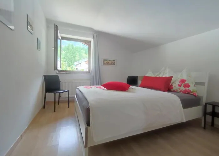 Alpendohle * Ίνσμπρουκ