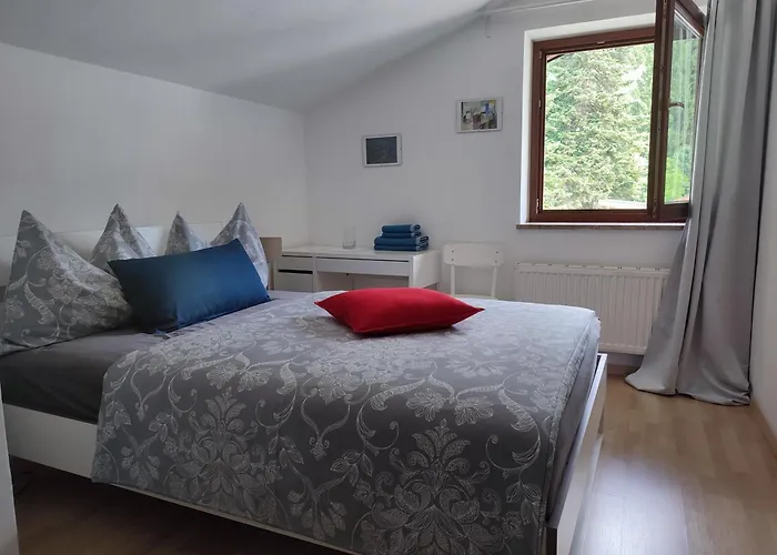 Alpendohle * Innsbruck