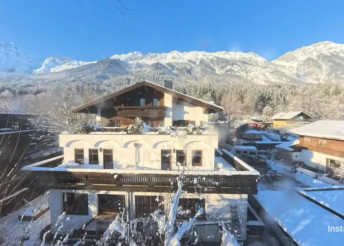 Alpendohle * Ίνσμπρουκ